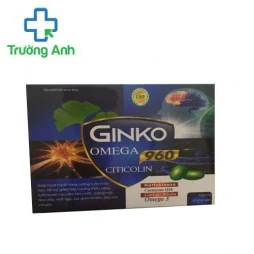 Ginkgo Omega 960 Citicolin - Giúp tăng cường tuần hoàn não