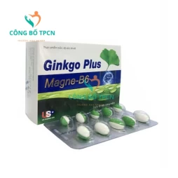 Ginkgo Plus Magne-B6 - Giúp tăng cường tuần hoàn não hiệu quả