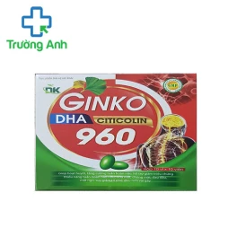 Ginko DHA Citicolin 960 - Giúp hố trợ tăng cường tuần hoàn não