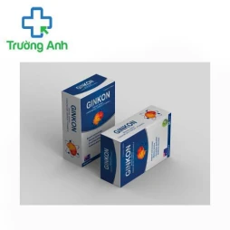 Ginkon - Hỗ trợ lưu thông máu, tuần hoàn máu não