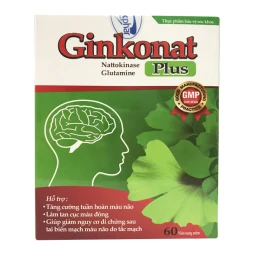 Ginkonat Plus - Hỗ trợ tăng cường tuần hoàn máu não