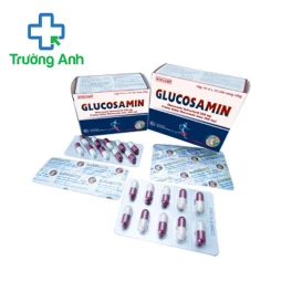 Glucosamin 250mg Khapharco - Thuốc điều trị thoái hóa khớp