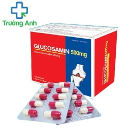 Glucosamin 500mg Hà Tây - Hỗ trợ điều trị bệnh xương khớp hiệu quả