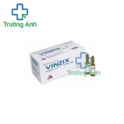 Vinzix 20mg/2ml Vinphaco - Thuốc điều trị phù nề