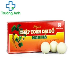 Hoàn Thập Toàn Đại Bổ Nam Hà - Bồi bổ cơ thể suy nhược