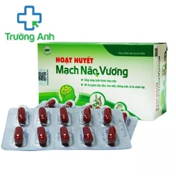 Hoạt huyết mạch não vương - Giúp tăng cường lưu thông khí huyết