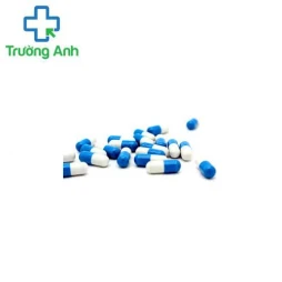 Ích Hoạt Vương - Hỗ trợ làm trơn ổ khớp, hạn chế lão hóa khớp