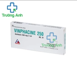 Vinphacine 250mg/2ml Vinphaco - Thuốc điều trị nhiễm khuẩn