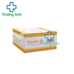 Vitamin B6 100mg/1ml Vinphaco - Hỗ trợ cung cấp vitamin B6