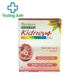 Kidney Plus Tablet - Hỗ trợ bổ thận, hỗ trợ chức năng của thận