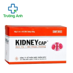 Kidneycap Bát vị-Bổ thận dương OPC giảm đau lưng mỏi gối