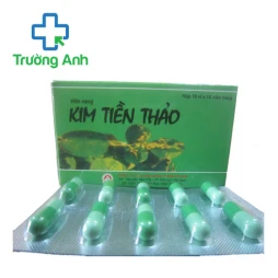 Kim tiền thảo Hà Nam - Viên uống giúp làm tan sỏi hiệu quả