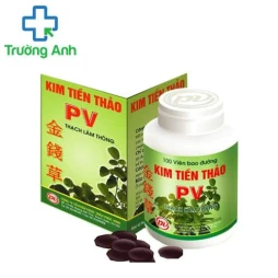 Kim tiền thảo PV - Giúp thanh thấp nhiệt, lợi niệu, bài sỏi