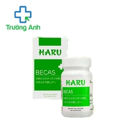 Kiwi seed extract containing food - BECAS – Hỗ trợ điều trị mụn trứng cá