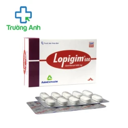 Lopigim 600 Agimexpharm - Thuốc điều trị tăng lipid máu hiệu quả