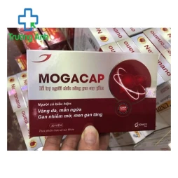 Mogacap - Hỗ trợ người chức năng suy giảm hiệu quả