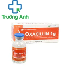 Oxacillin 1g Imexpharm - Điều trị các nhiễm khuẩn do tụ cầu