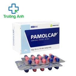 Pamolcap Agimexpharm (vỉ) - Thuốc hạ sốt giảm đau của Agimexpharm