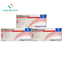 Piperacillin Panpharma 1g - Thuốc điều trị nhiễm khuẩn hiệu quả