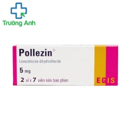 Pollezin 5mg - Thuốc điều trị viêm mũi dị ứng, chàm mạn tính