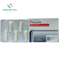 Ponysta