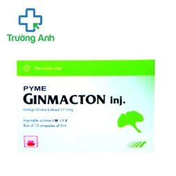 Pymeginmacton inj 17,5mg/5ml Pymepharco - Thuốc điều trị rối loạn tuần hoàn não