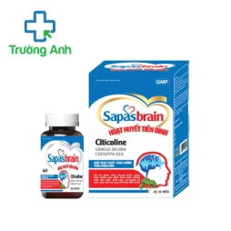 Sapasbrain Hoạt huyết tiền đình Dolexphar - Tăng cường tuần hoàn não