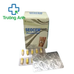 Seocem Capsule - Thuốc điều trị viêm xương khớp hiệu quả