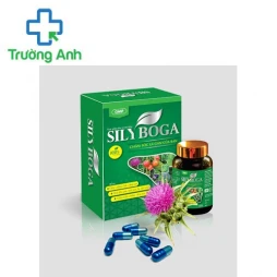 Silyboga - Hỗ trợ giảm triệu chứng: vàng da, mệt mỏi, chán ăn
