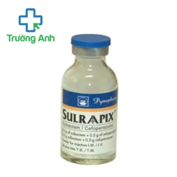 Sulraapix Pymepharco - Thuốc điều trị nhiễm khuẩn hiệu quả