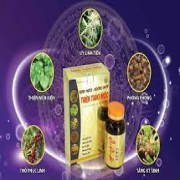 Kinh Mạch - Xương Khớp Thiên Thảo Mộc - Bảo vệ xương khớp