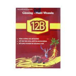12B+ Ginseng Multivitamin - Thực phẩm chức năng bổ sung vitamin