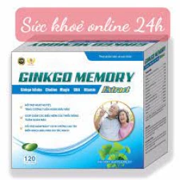 Ginkgo memory Extract - Tăng cường lưu thông máu não