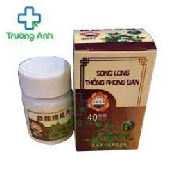 Thống phong đan Plus - Thực phẩm chức năng hỗ trợ xương khớp