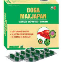 Boga maxJapan - Thực phẩm chức năng thanh nhiệt mát gan
