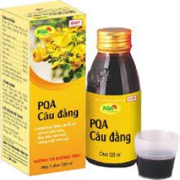 PQA Câu đằng - Thực phẩm chức năng tăng sức bên thành mạch