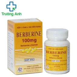 Berberine 100mg Mekophar - Thuốc điều trị viêm ruột, tiêu chảy hiệu quả