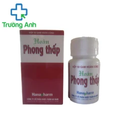 Hoàn phong thấp Hanapharm (hoàn cứng) - Giúp trị phong tê thấp