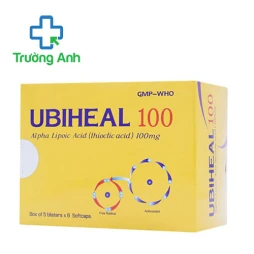 Ubiheal 100 Nam Hà - Thuốc điều trị rối loạn cảm giác hiệu quả