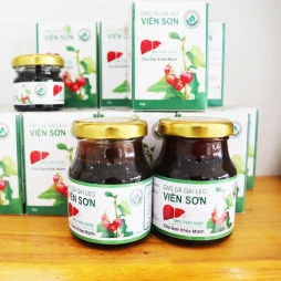 Cà gai leo Viễn Sơn - Thực phẩm chức năng giải độc gan