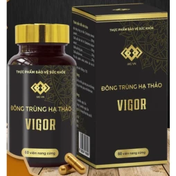 Đông Trùng Hạ Thảo Vigor - Thực phẩm chức năng tăng sức đề kháng