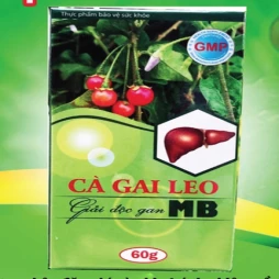 Cà gai leo giải độc gan Mb - Thực phẩm chức năng bảo vệ gan