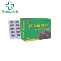 Viên nang tai nấm vàng - Hỗ trợ tăng cường chức năng gan