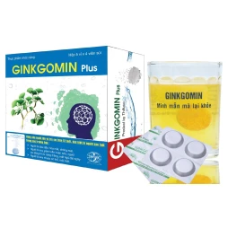 Viên sủi hoạt huyết Ginkgomin Plus - Tăng cường chức năng não bộ