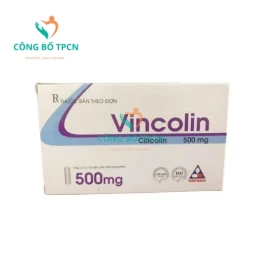 Vincolin 500mg/2ml Vinphaco - Thuốc điều trị bệnh lý thần kinh