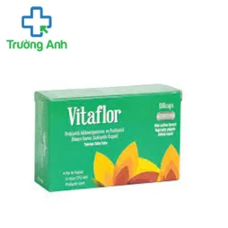 Vitaflor (Viên nang chứa lợi khuẩn Probiotic và Prebiotic)