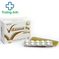 Vitamin B6 - Bổ sung vitamin B6 cho cơ thể hiệu quả của Mekophar