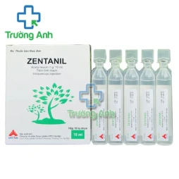Zentanil 1g/10ml CPC1HN - Thuốc điều trị chóng mặt