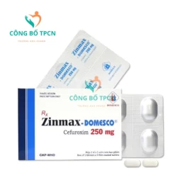 Zinmax-Domesco 250mg