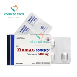 Zinmax-Domesco 500mg